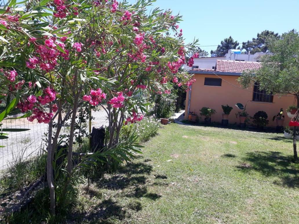 Kolonia E Artistave Apartment Velipojë Exterior foto
